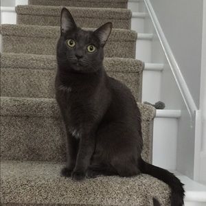 Meet your Posher, Brandon